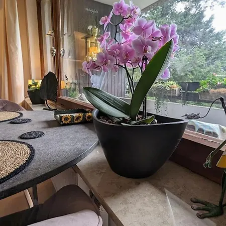 Apartmán Zauberfrosch - Ankommen Und Zuhause Fuehlen - Apart-vl